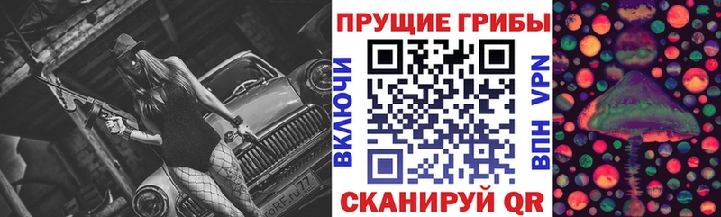 где продают наркотики  Карасук  ссылка на мегу как зайти  Галлюциногенные грибы Cubensis 